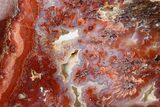 Polished Sicat Plume Agate Slab - Cady Mountains, California #184953-1
